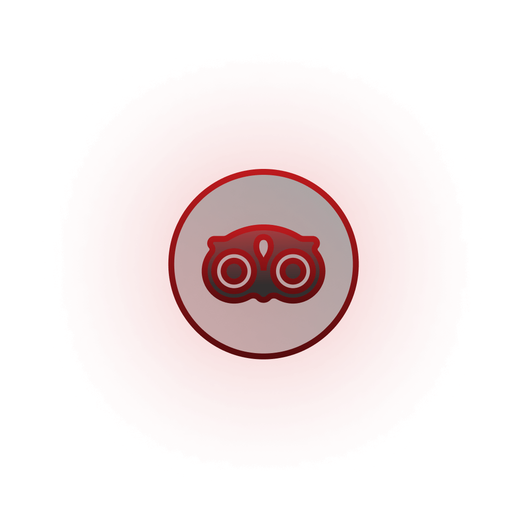 Icon 6